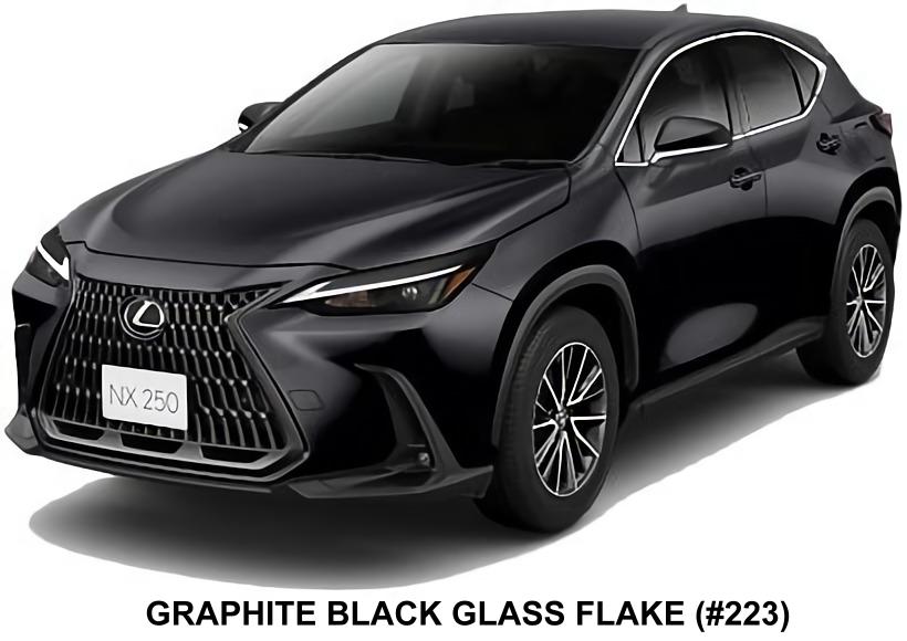 New Lexus NX250 body color; Graphite Black Glass Flake (Color No. 223)