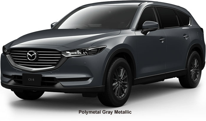 Mazda cx8 Color: Polymetal Gray Metallic