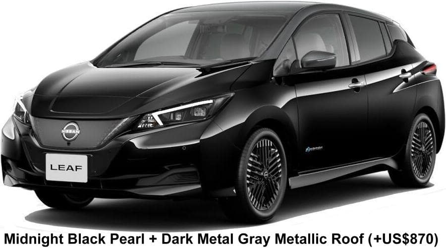 New Nissan Leaf body color: Midnight Black Pearl + Dark Metal Gray Metallic Roof (option color +US$870)