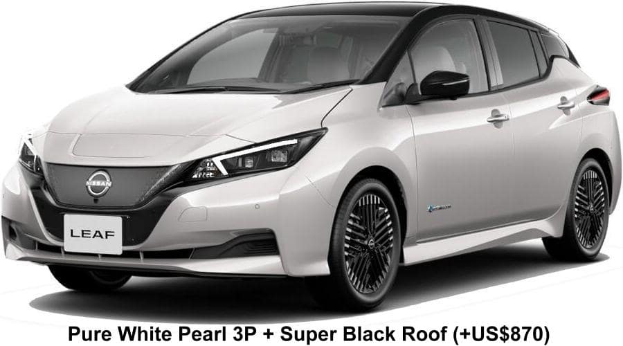 New Nissan Leaf body color: Pure White Pearl 3P + Super Black Roof (option color +US$870)