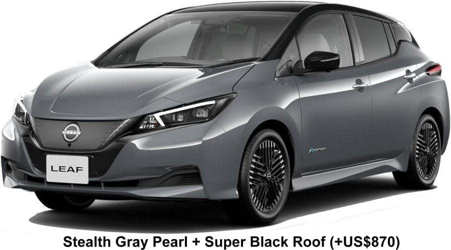 New Nissan Leaf body color: Stealth Gray Pearl + Super Black Roof (option color +US$870)