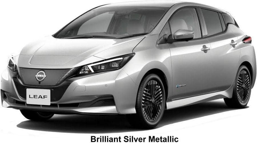 New Nissan Leaf body color: Brilliant Silver Metallic