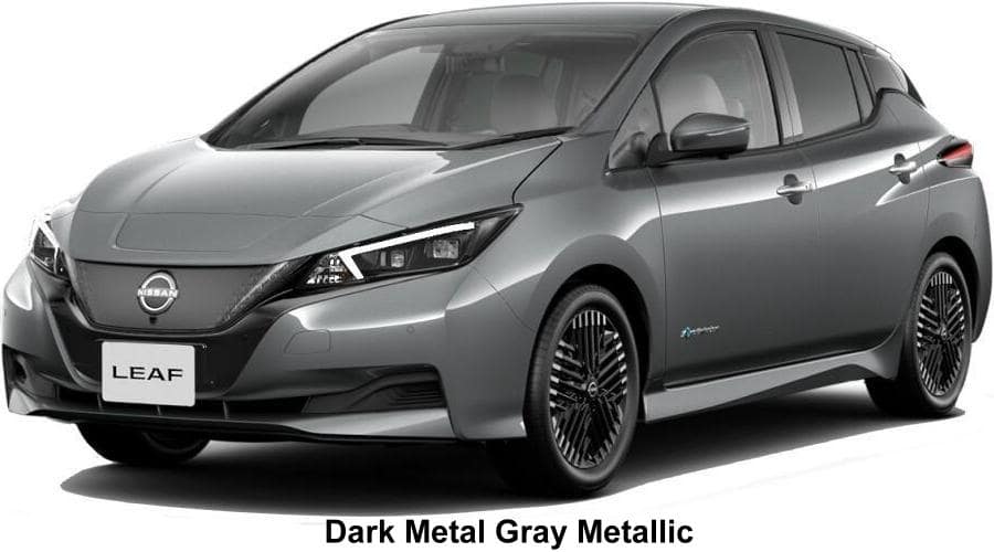 New Nissan Leaf body color: Dark Metal Gray Metallic