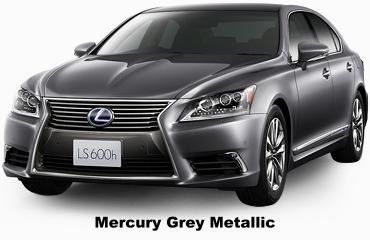 Mercury Grey Metallic