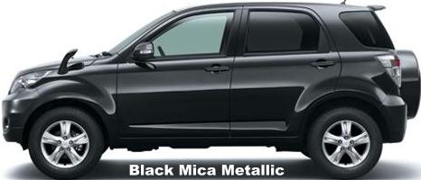 Black Mica Metallic