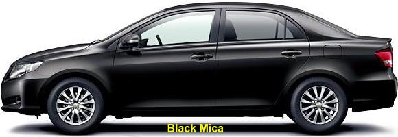Black Mica