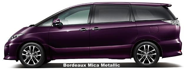 Bordeaux Mica Metallic