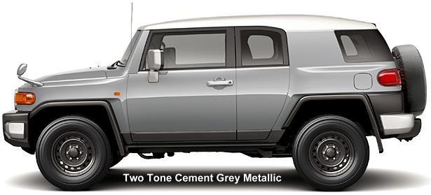 Two Tonw Cement Grey Metallic
