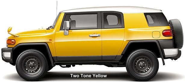 Two Tone Yellow