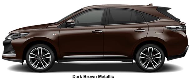 Dark Brown Metallic