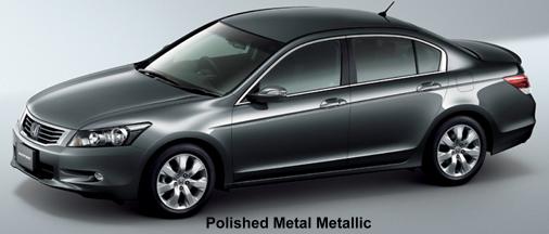 Polished Metal Metallic