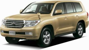Gold Mica Metallic