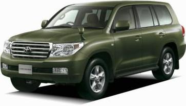 Green Mica Metallic