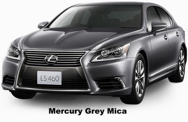 Mercury Grey Mica