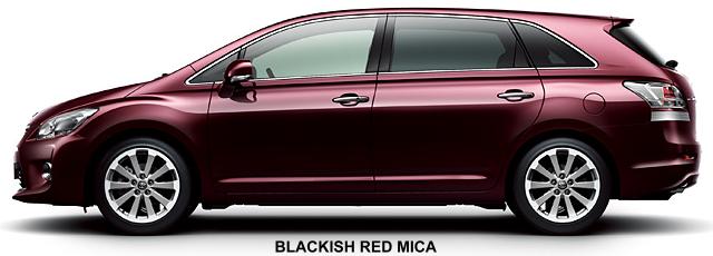 Blackish Red Mica