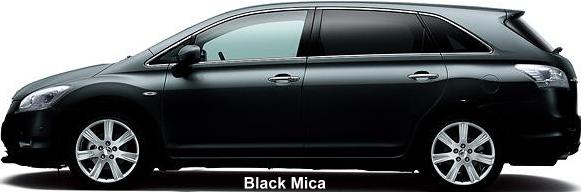 Black Mica