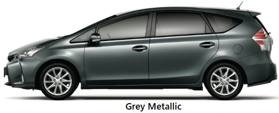 Grey Metallic