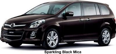 Sparkling Black Mica