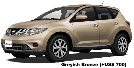 Greyish Bronze