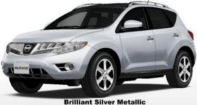 Brilliant Silver Metallic