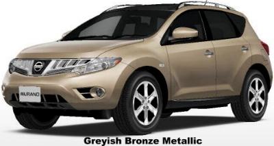 Greyish Bronze Metallic