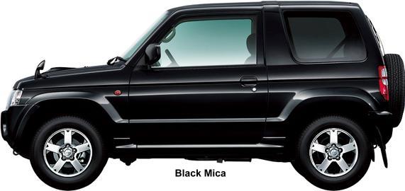 Black Mica