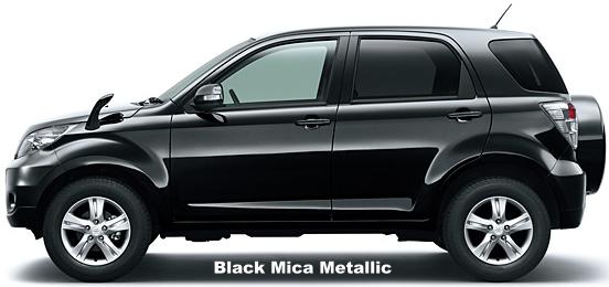 Black Mica Metallic