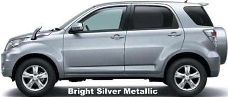 Bright Silver Metallic