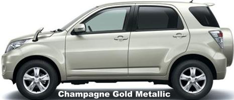 Champagne Gold Metallic