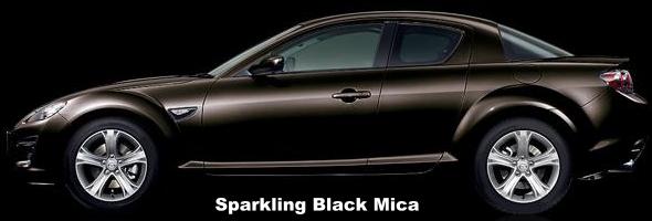 Sparkling Black Mica
