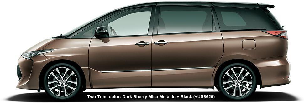 2 TONE COLOR: DARK SHERRY MICA METALLIC + BLACK (option color US$620)