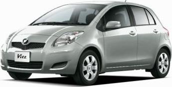 Medium Silver Metallic