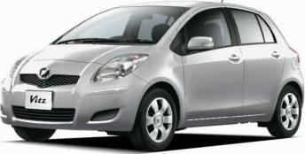 Silver Mica Metallic