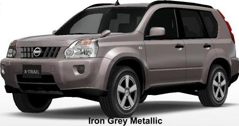 Iron Grey Metallic