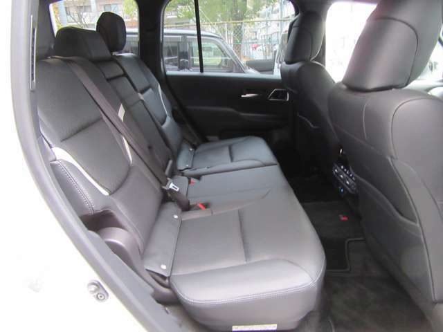Toyota Land Cruiser-300, Diesel, GR Sport, Pearl color picture: Back Seat image