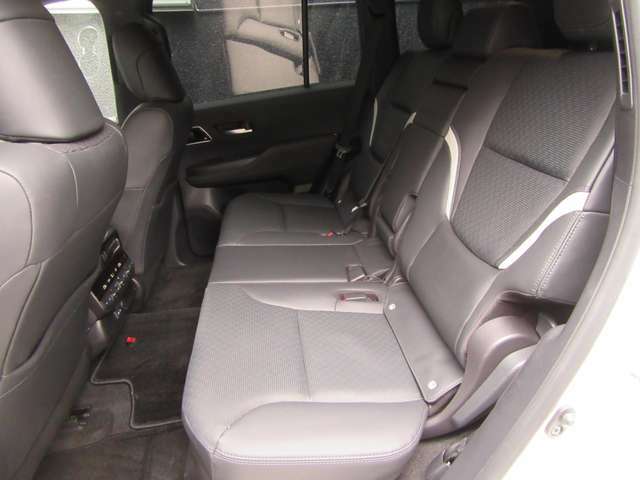 Toyota Land Cruiser-300, Diesel, GR Sport, Pearl color picture: Rear Seat image