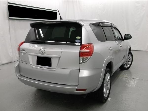 Toyota Vanguard used car 2010 model Silver color photo: Back view (Rear image)