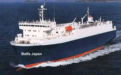 JAPAN SHIPPING SERVICE