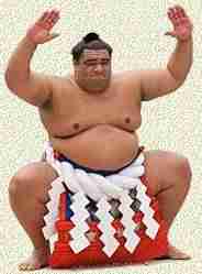 SUMO - NATIONAL SPORT OF JAPAN