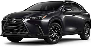 Lexus NXh NEW MODEL