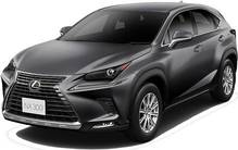 LEXUS NX300 NEW MODEL