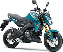 KAWASAKI Z125 Pro NEW MODEL