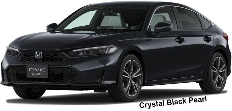 Honda Civic body color: Crystal Black Pearl
