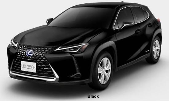 New Lexus UX250h body color: BLACK