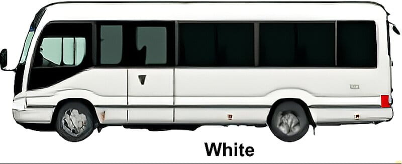 New Toyota Coaster Bus GX Model body color: White (Option color with additional cost)