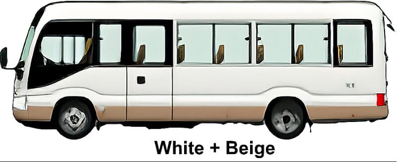 New Toyota Coaster Bus LX Model body color: White + Beige (Two Tone color)