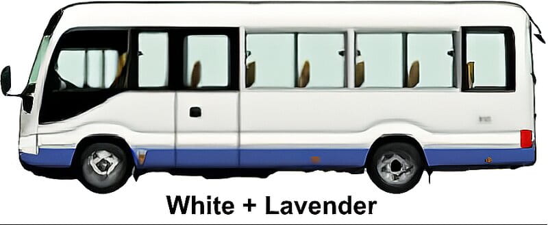 New Toyota Coaster Bus LX Model body color: White + Lavender (Two Tone color)