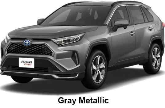 Toyota Rav4 Phv Color: Gray Metallic