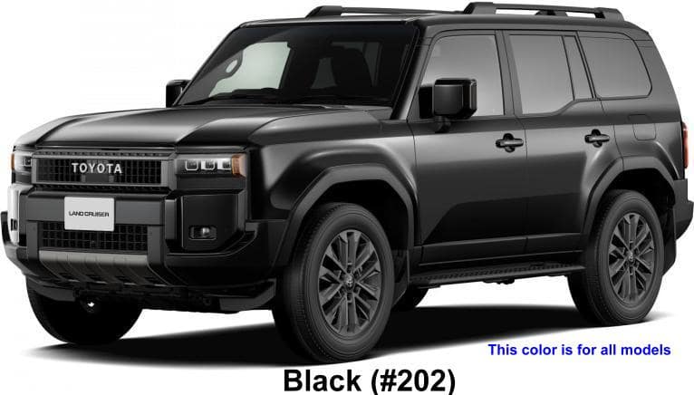 Toyota Land Cruiser-250 body color: Black (Color #202)
