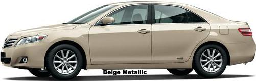 Beige Metallic